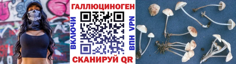 Псилоцибиновые грибы Cubensis  Томилино 